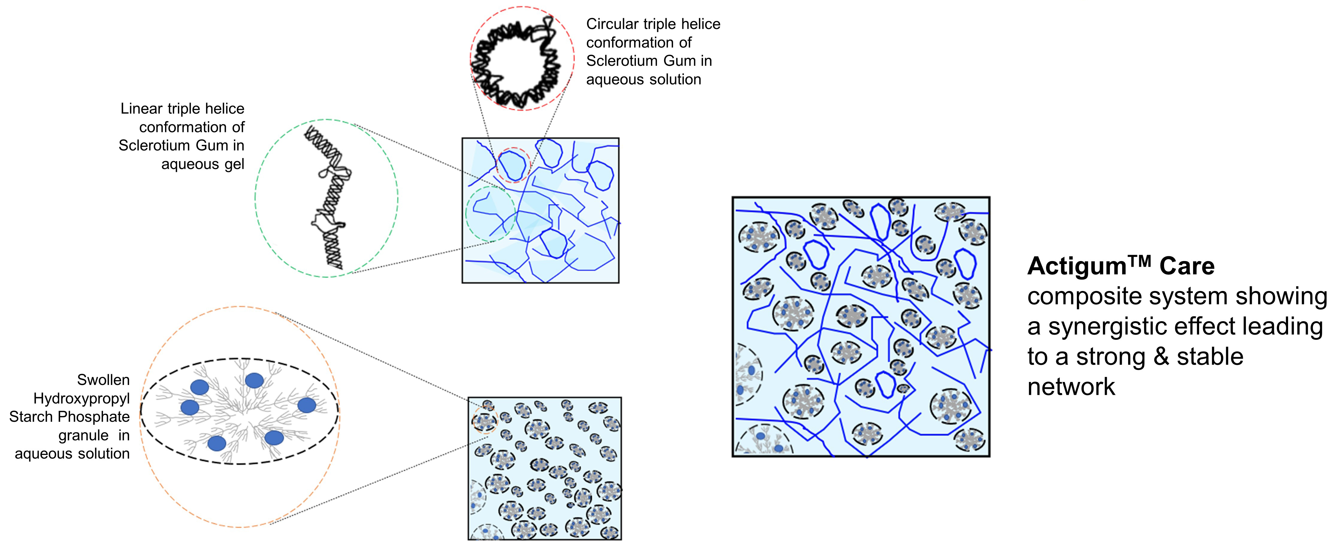 Actigum™ Care Polymer Mapping Actigum™护理聚合物图谱