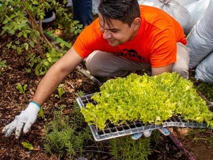 Food access volunteers 食物获取志愿者