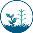 Cover crops icon 封面作物图标