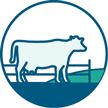 Grazing management icon 放牧管理图标